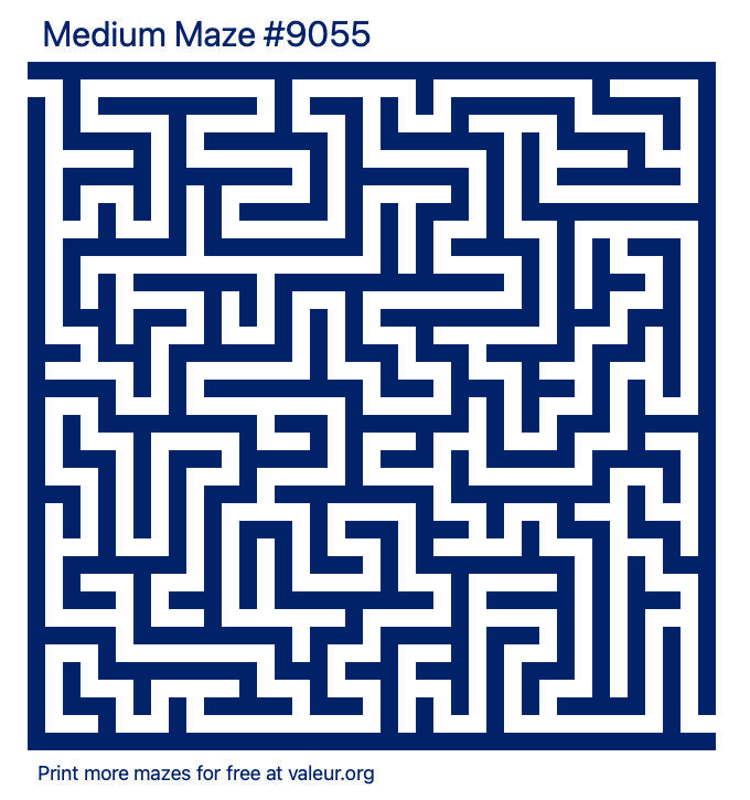 Free Printable Medium Maze number 9055