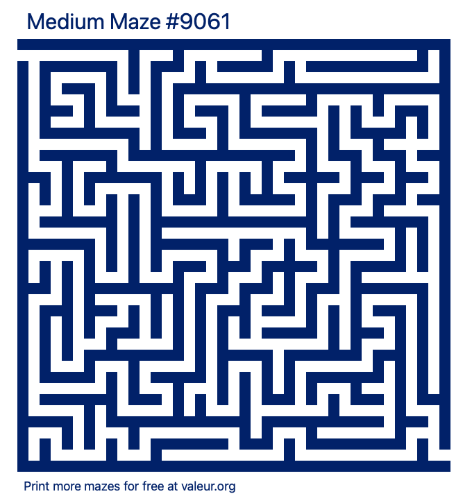 Free Printable Medium Maze number 9061