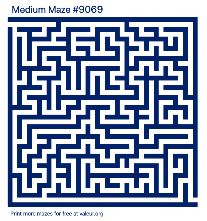 Free Printable Medium Maze number 9069