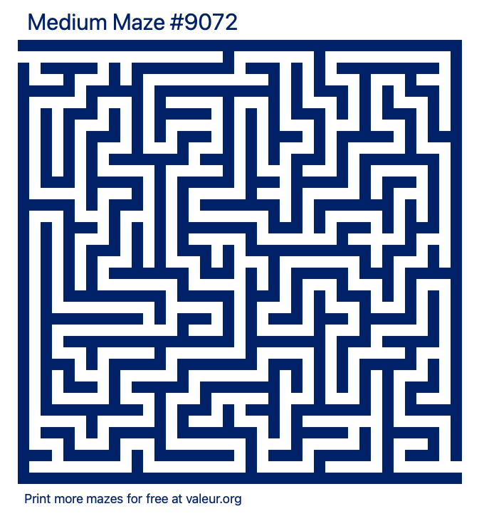 Free Printable Medium Maze number 9072