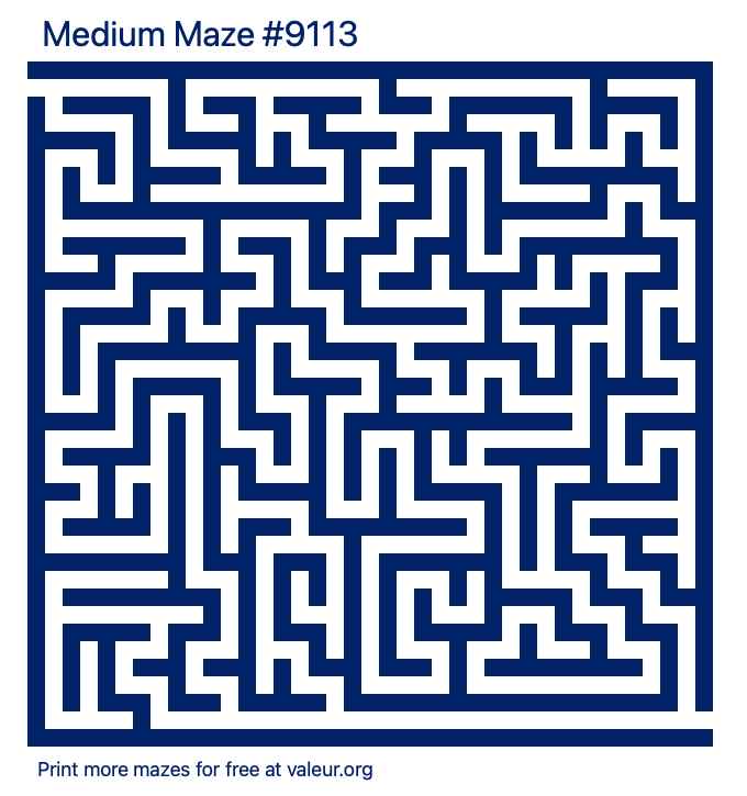 Free Printable Medium Maze number 9113