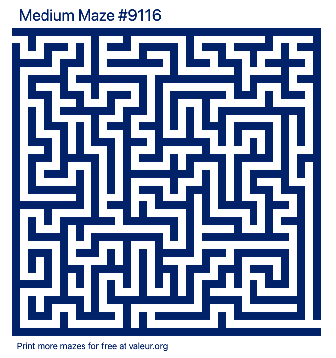 Free Printable Medium Maze number 9116