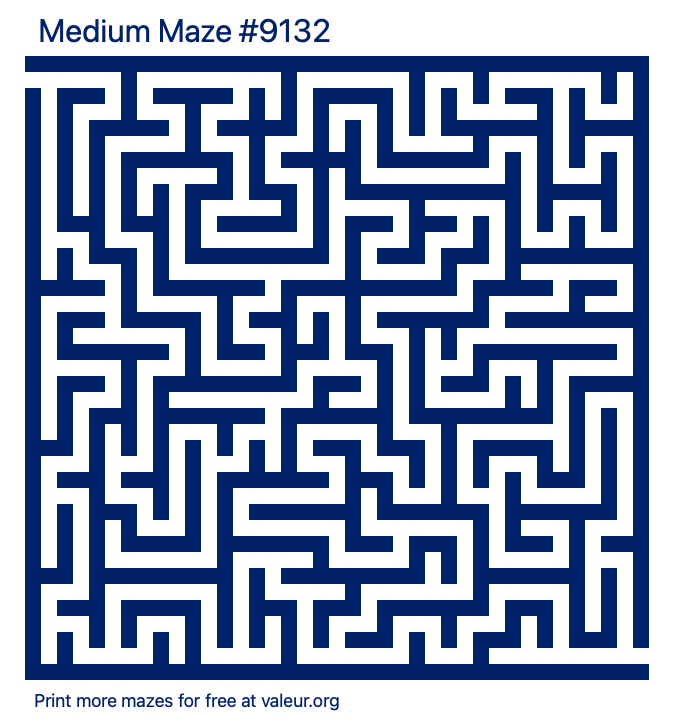 Free Printable Medium Maze number 9132