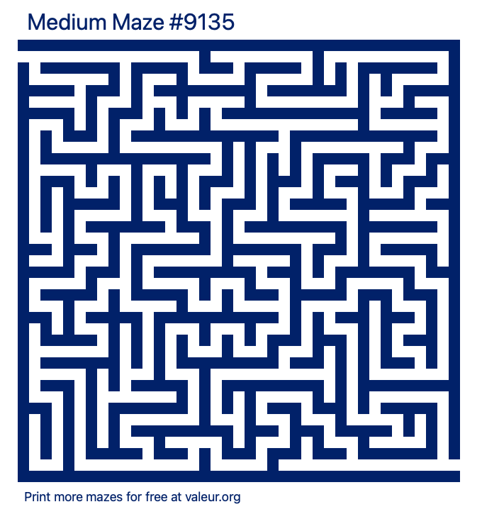 Free Printable Medium Maze number 9135
