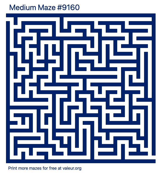 Free Printable Medium Maze number 9160