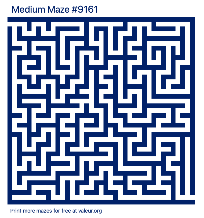 Free Printable Medium Maze number 9161