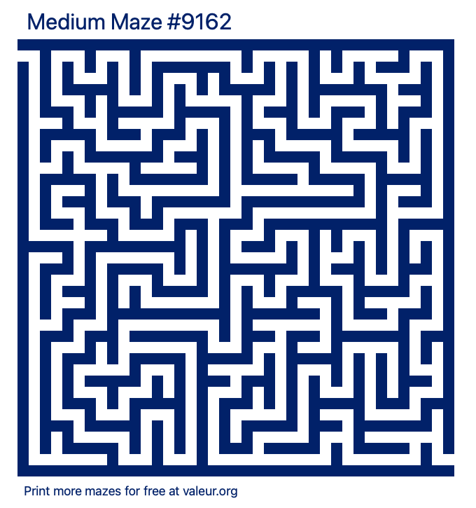 Free Printable Medium Maze number 9162