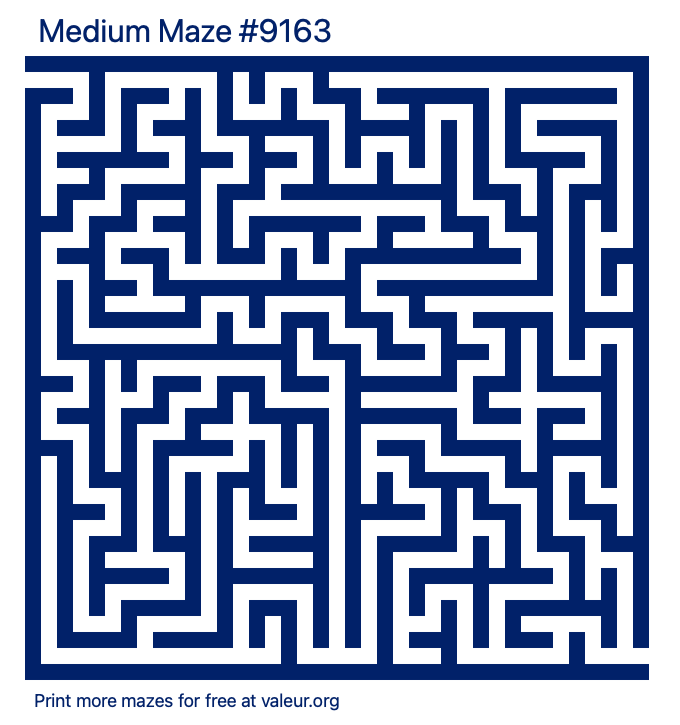 Free Printable Medium Maze number 9163