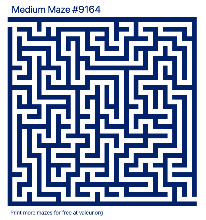 Free Printable Medium Maze number 9164