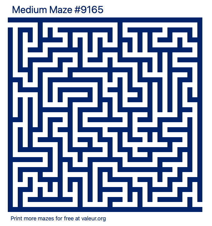 Free Printable Medium Maze number 9165