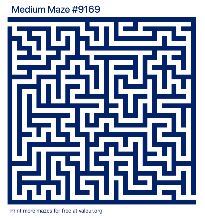 Free Printable Medium Maze number 9169