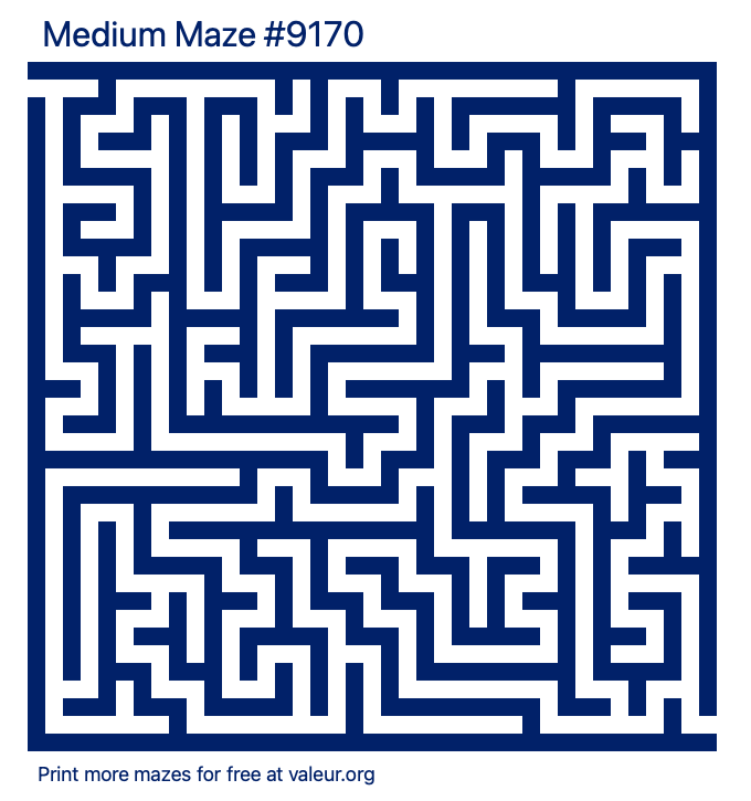 Free Printable Medium Maze number 9170