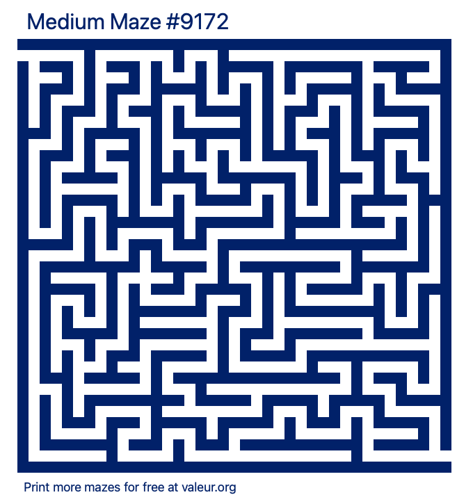 Free Printable Medium Maze number 9172