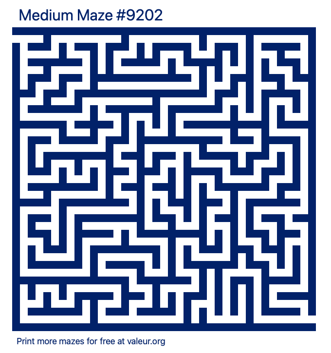 Free Printable Medium Maze number 9202