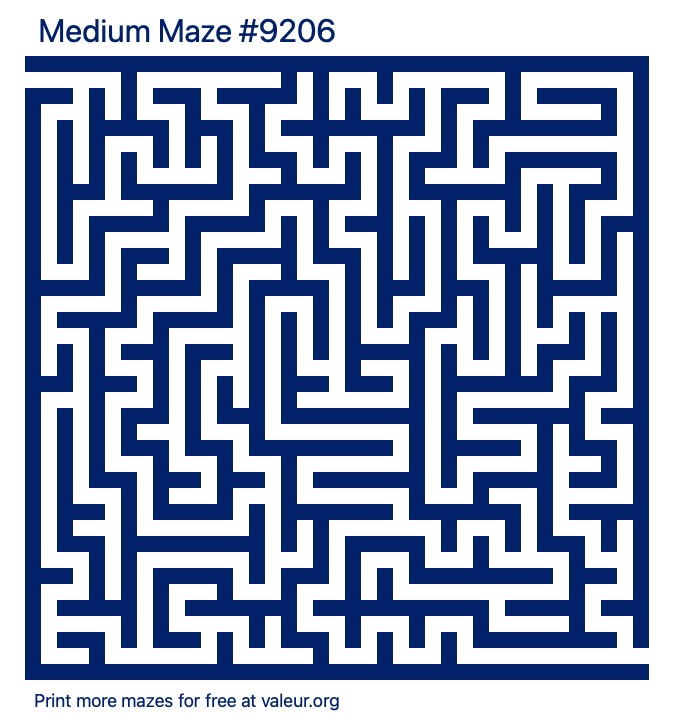 Free Printable Medium Maze number 9206