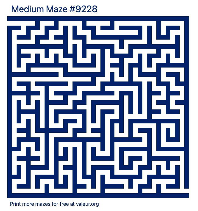 Free Printable Medium Maze number 9228