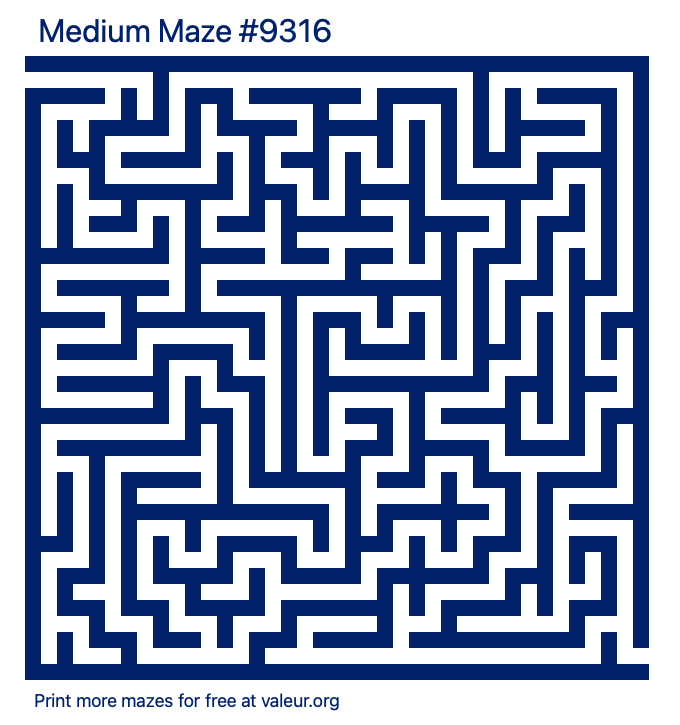 Free Printable Medium Maze number 9316