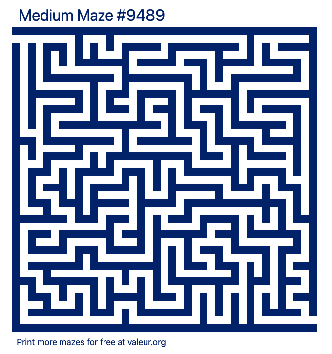 Free Printable Medium Maze number 9489