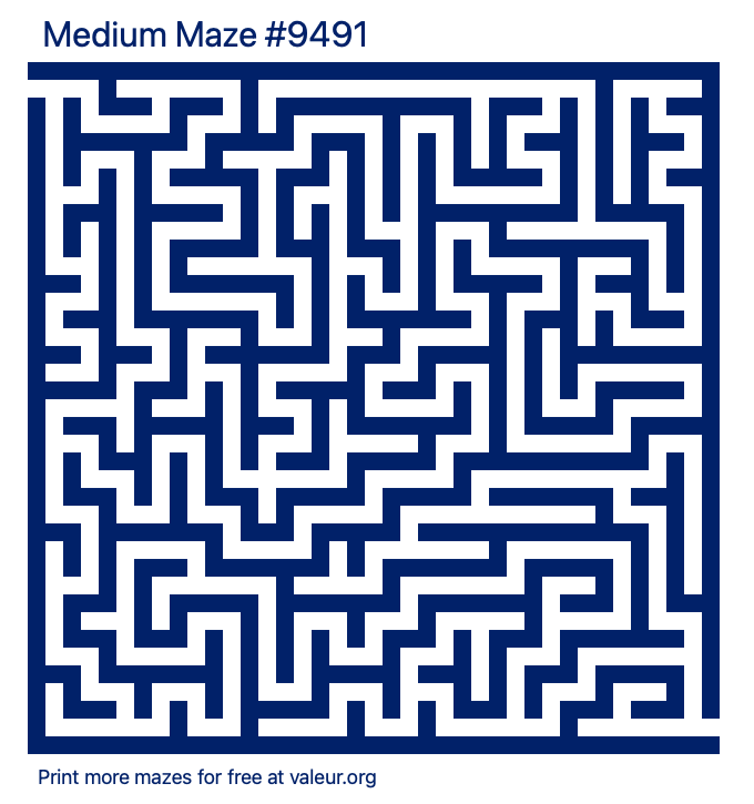 Free Printable Medium Maze number 9491