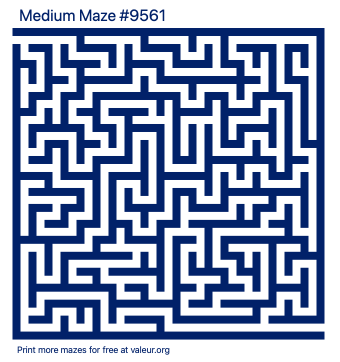 Free Printable Medium Maze number 9561