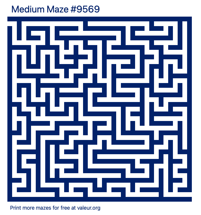 Free Printable Medium Maze number 9569