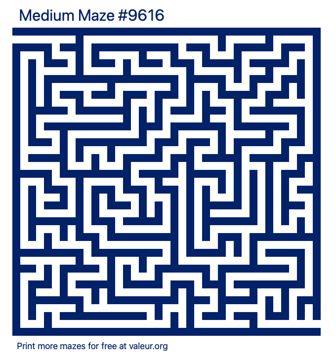 Free Printable Medium Maze number 9616