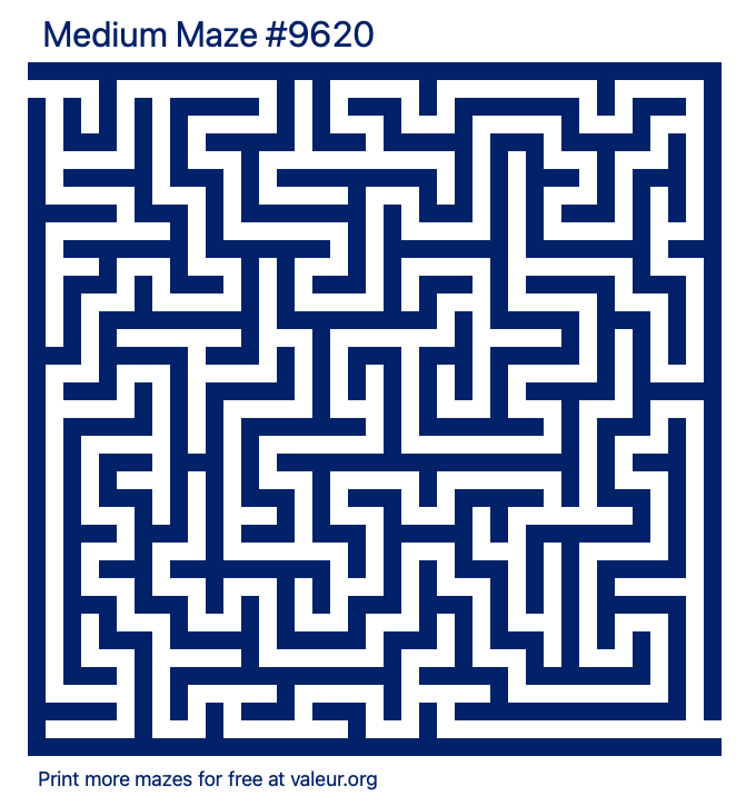 Free Printable Medium Maze number 9620