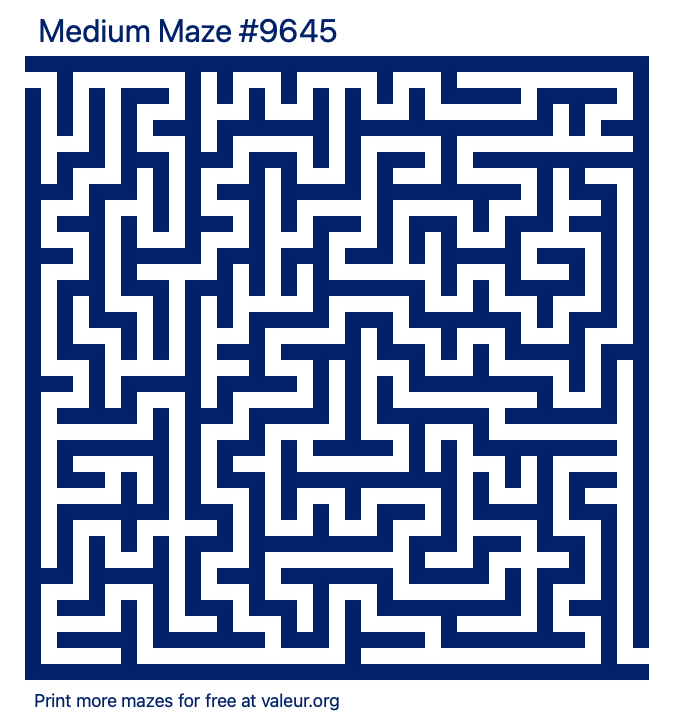 Free Printable Medium Maze number 9645