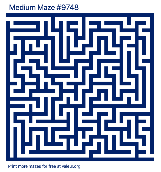 Free Printable Medium Maze number 9748