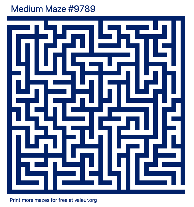 Free Printable Medium Maze number 9789