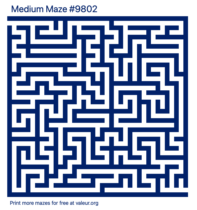 Free Printable Medium Maze number 9802
