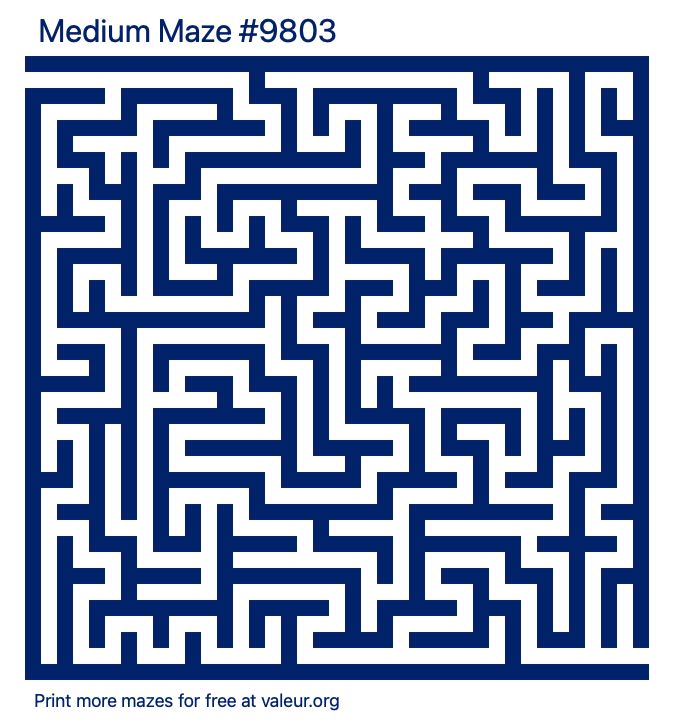 Free Printable Medium Maze number 9803