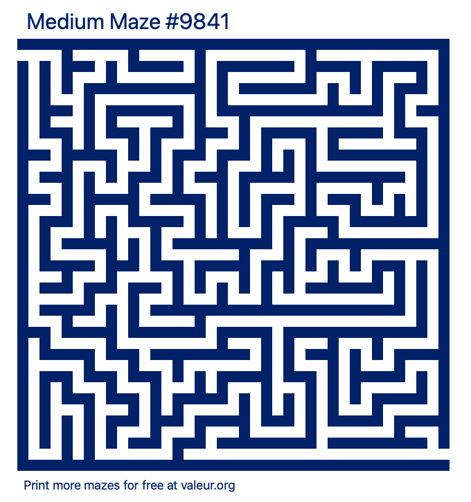 Free Printable Medium Maze number 9841