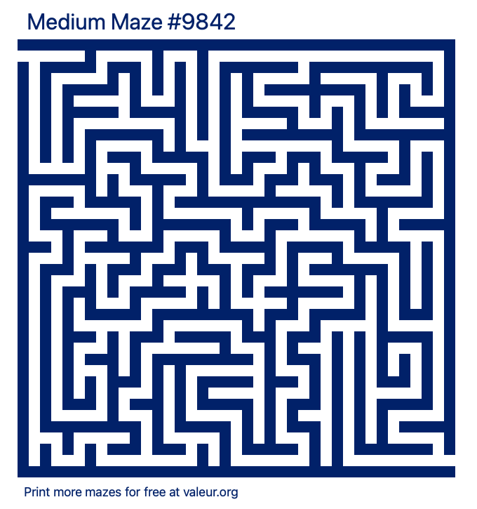 Free Printable Medium Maze number 9842