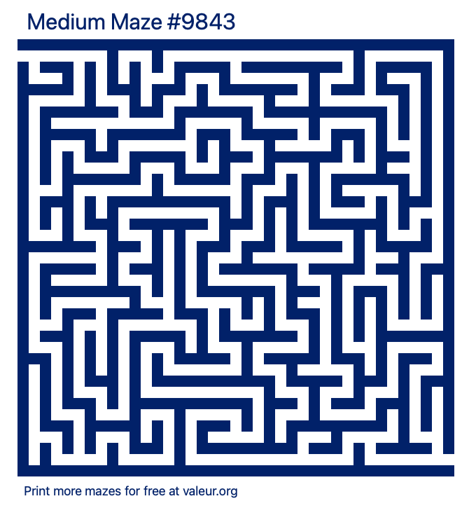 Free Printable Medium Maze number 9843