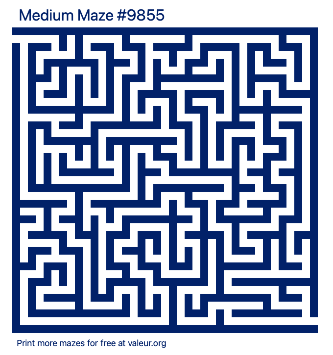 Free Printable Medium Maze number 9855