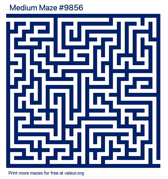 Free Printable Medium Maze number 9856