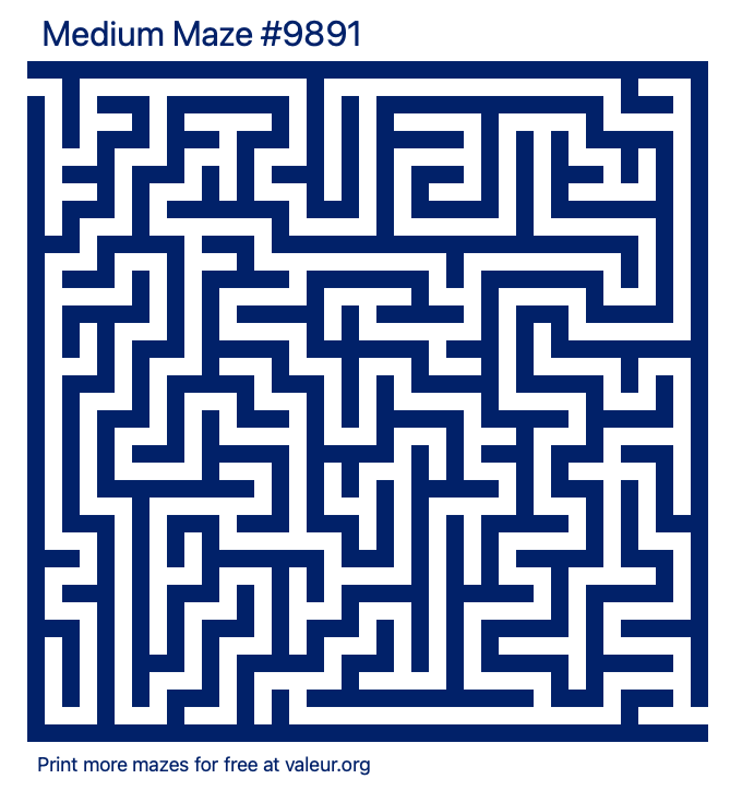 Free Printable Medium Maze number 9891