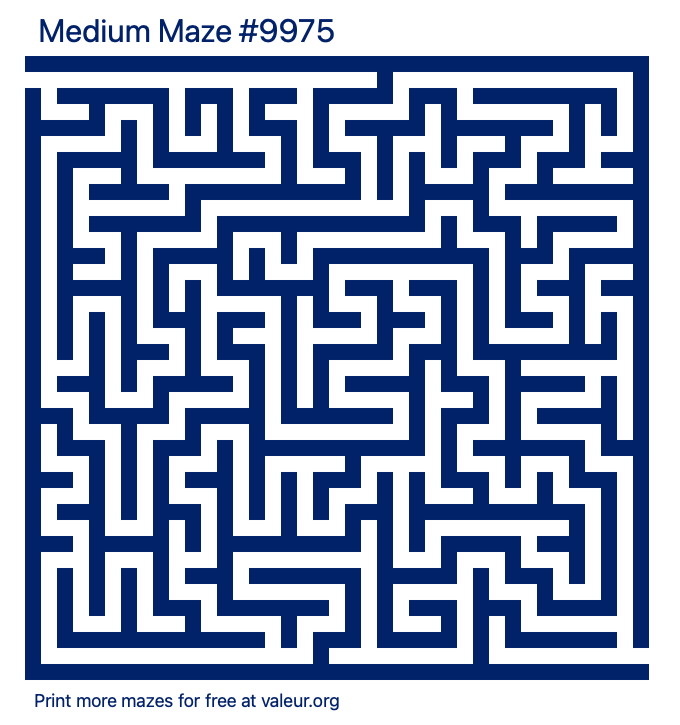 Free Printable Medium Maze number 9975