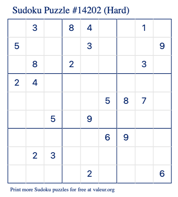 Free Printable Hard Sudoku Puzzle number 14202